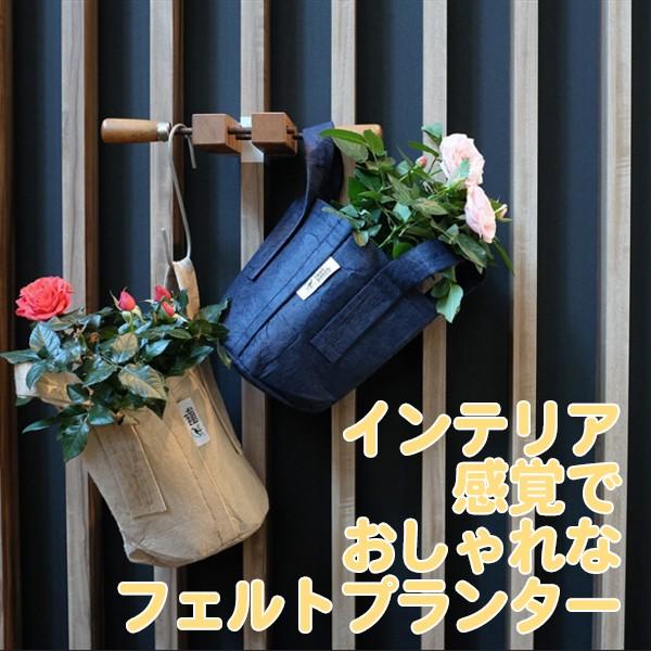 ハーブ 栽培キット ローズゼラニューム ゼラニウム 種類 栽培 ハーブティー ハーブガーデン プランター 育て方 栽培キット 花 ガーデニング Set Rootpounch R ハーブ苗のポタジェガーデン 通販 Yahoo ショッピング