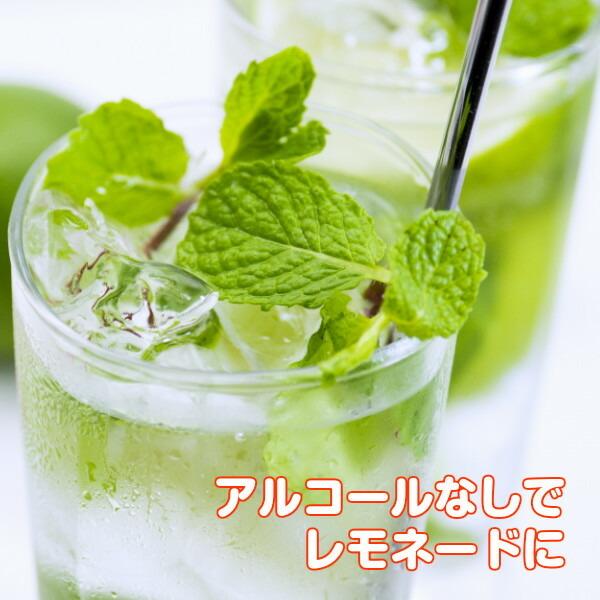 ハーブ 苗 イエルバブエナ モヒートミント ルートポーチ 種類 栽培 ハーブティー ハーブガーデン 栽培キット 栽培セット 送料無料 Set Rootpounch ハーブ苗のポタジェガーデン 通販 Yahoo ショッピング