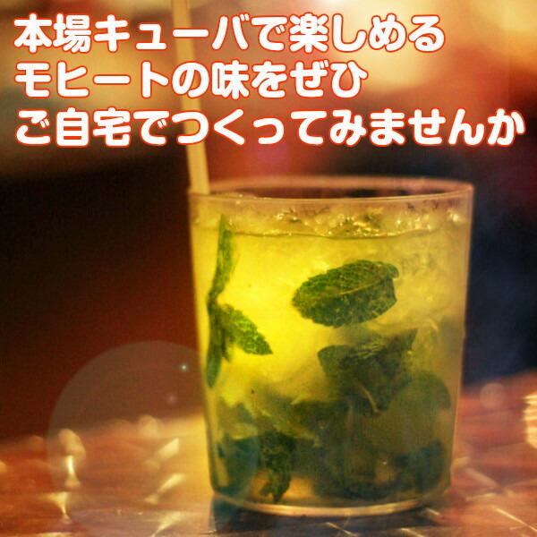 ハーブ 苗 イエルバブエナ モヒートミント ルートポーチ 種類 栽培 ハーブティー ハーブガーデン 栽培キット 栽培セット 送料無料 Set Rootpounch ハーブ苗のポタジェガーデン 通販 Yahoo ショッピング