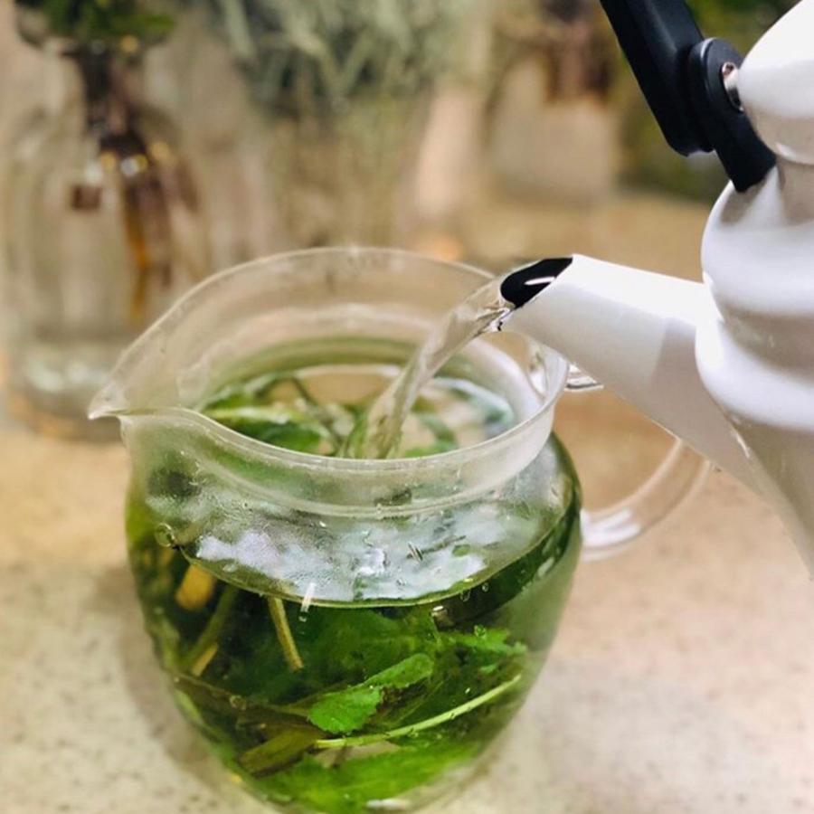 ハーブ 苗 セット 卸 Herb ラベンダー 鉢植え バーム30個 夏 時期 ローズマリー 詰め合わせ 種 花 寄せ植え ハーブティー 冬 ミント 野菜 秋 レモンバーム 種類 春 30個 栽培キット Lemonbalm 送料無料 東京