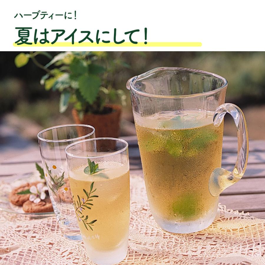 ハーブ 苗 レモンバーム（種類 栽培 ハーブガーデン ハーブティー 花