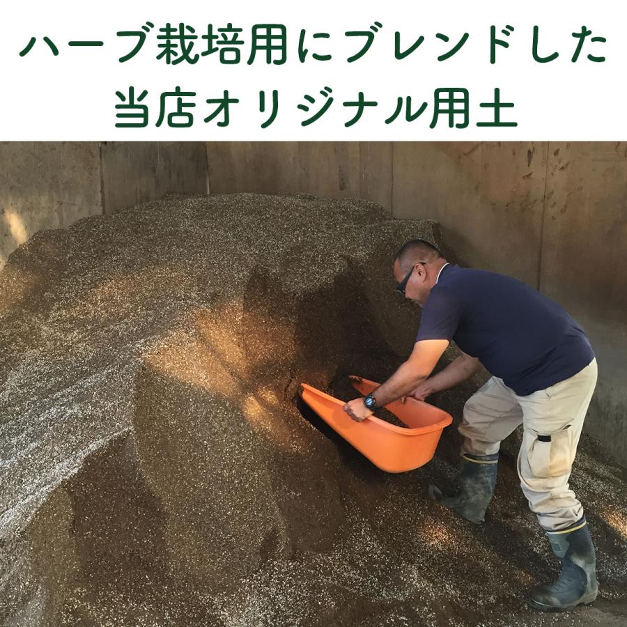 ハーブ専用 培養土 16L（16リットル 土壌改良 腐葉土 園芸 園芸用品 土 野菜 砂 8L 2袋｜potager｜06