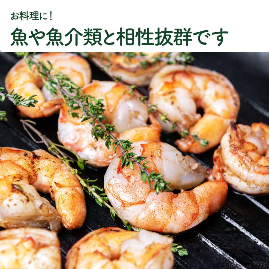 ハーブ 苗 コモンタイム（種類 栽培 ハーブティー ハーブガーデン 花 ガーデニング 苗木 果樹 栽培キット） |  | 10