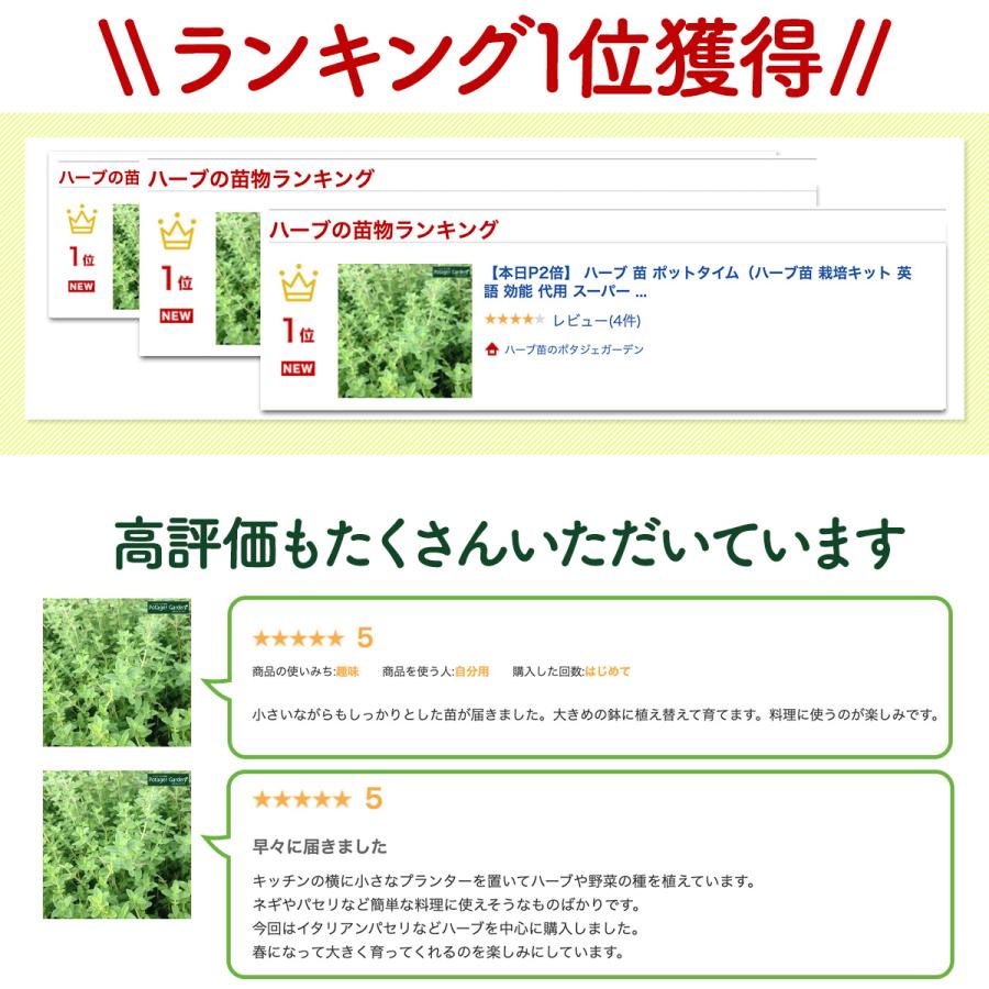 ハーブ 苗 ポットタイム（種類 栽培 ハーブティー ハーブガーデン 花 ガーデニング 苗木 果樹 栽培キット） |  | 09