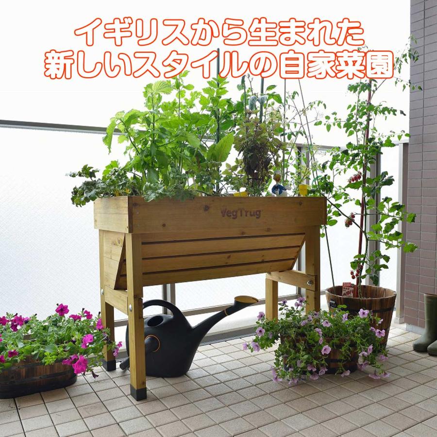 ホームベジトラグ ウォールハガー S ナチュラル(タカショー ホームベジトラグ ウォールハガー S ナチュラル(タカショー