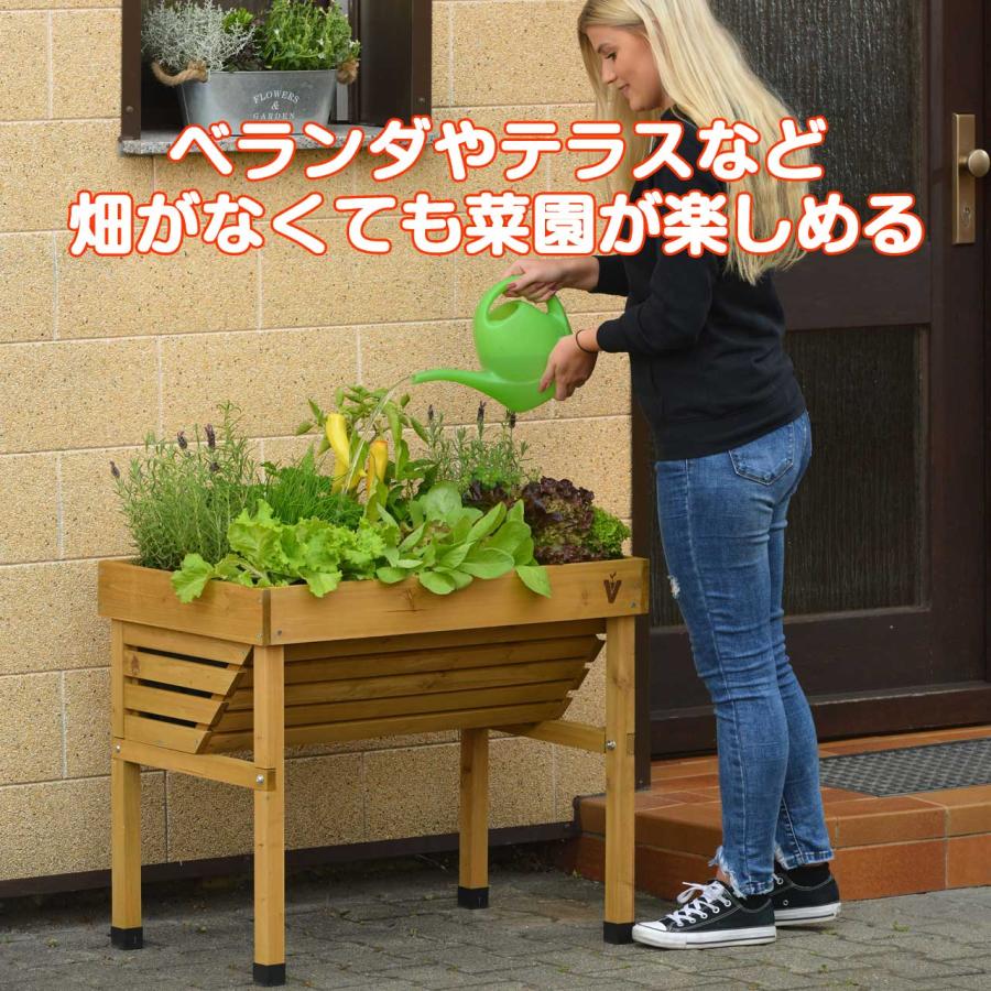 タカショー ホームベジトラグ ウォールハガー コンパクト ナチュラル