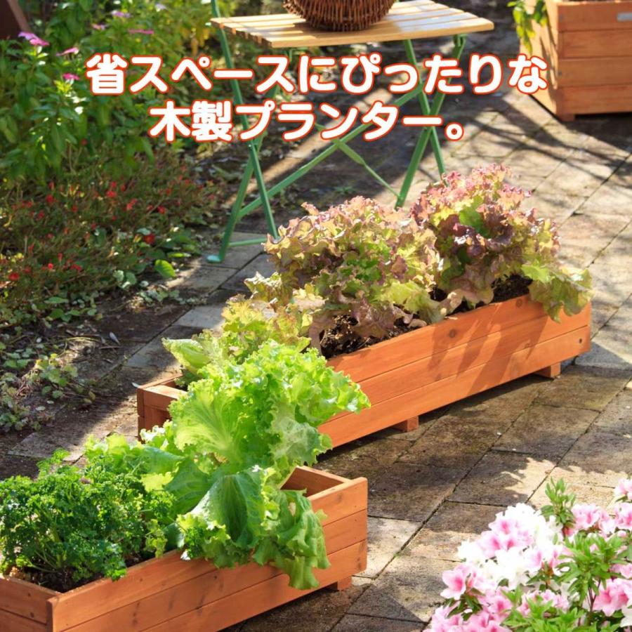 ウッドテラスプランター ナチュラル 90 タカショー 植木鉢 鉢 おしゃれ 家庭菜園 大型 木製 楕円形 Wop 90n ハーブ苗のポタジェガーデン 通販 Yahoo ショッピング