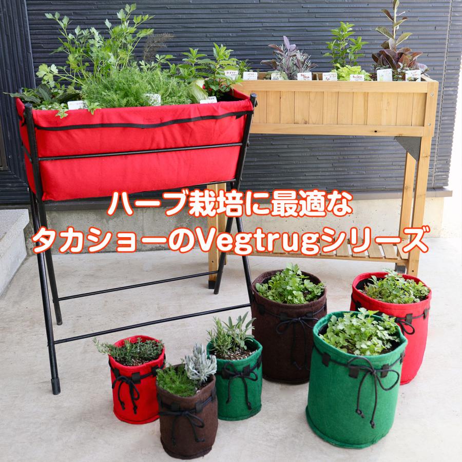 ハーブ 寄せ植え フェルポット S ハーブ 苗2個 ハーブの寄せ植え 苗 セット タカショー プランター ハーブティー 送料無料 家庭菜園 鉢植え Y Mit P01sr ハーブ苗のポタジェガーデン 通販 Yahoo ショッピング