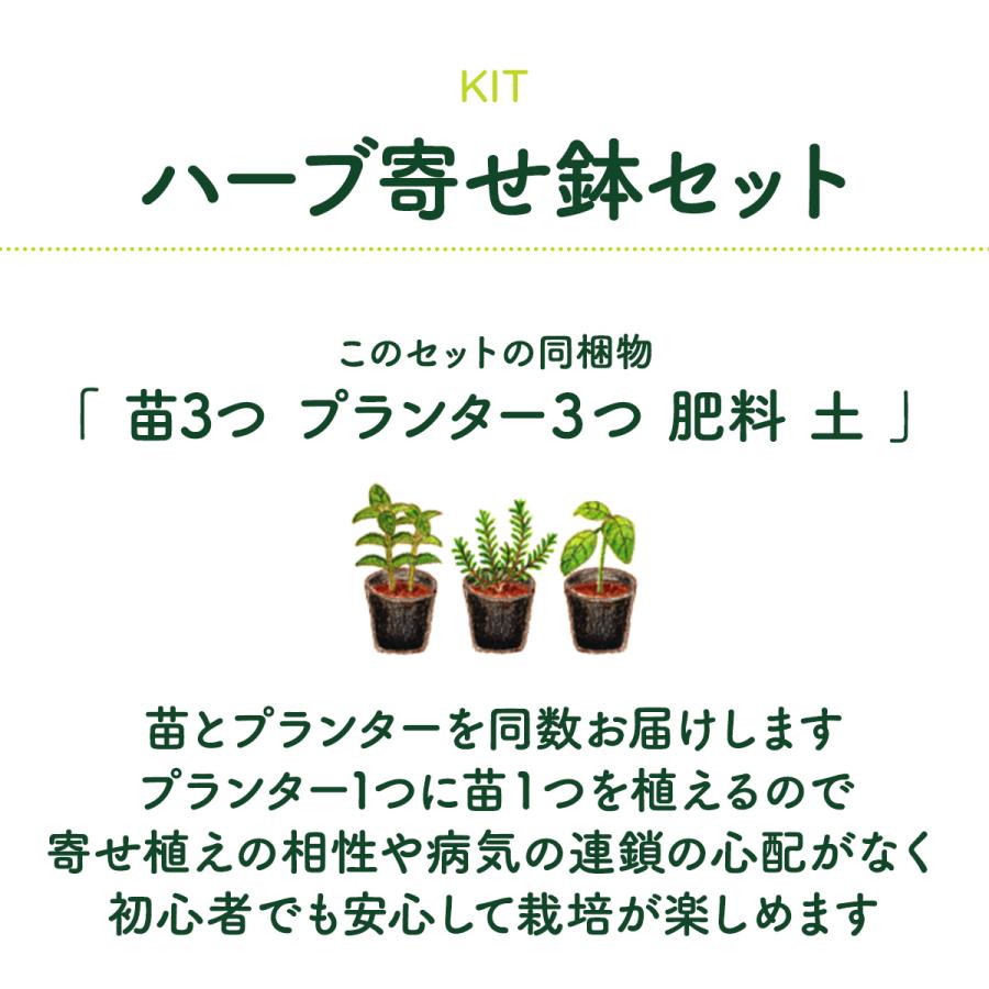 ハーブ 栽培キット 寄せ鉢(タカショー フェルポット S ハーブ 栽培キット 寄せ鉢(タカショー フェルポット S