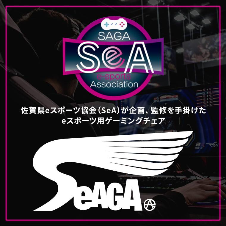 ゲーミングチェア Eスポーツ ゲーム用 オフィスチェア パソコン デスクチェア ワーク用 学習イス 事務 Eスポーツチェア セアガ03 Bl Gr C 318 Tm ポタリコpotarico 通販 Yahoo ショッピング