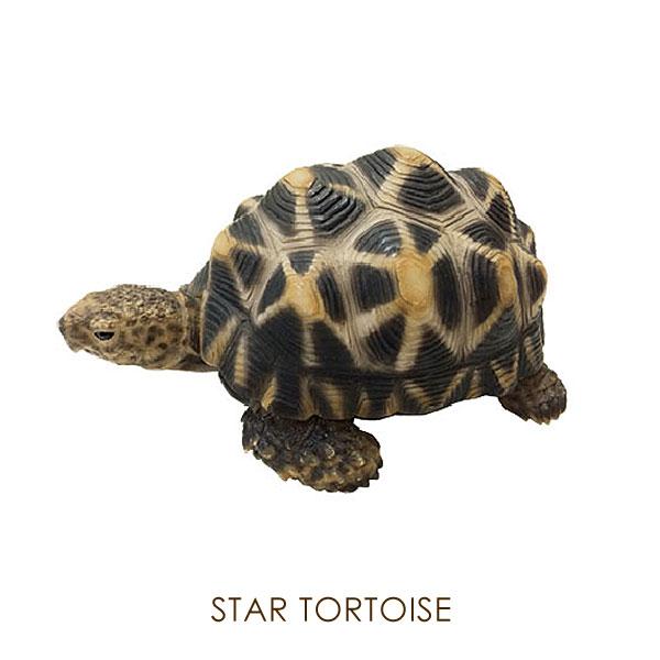 貯金箱 バンク 置物 小物 インテリア雑貨 アニマル かわいい PET BANK