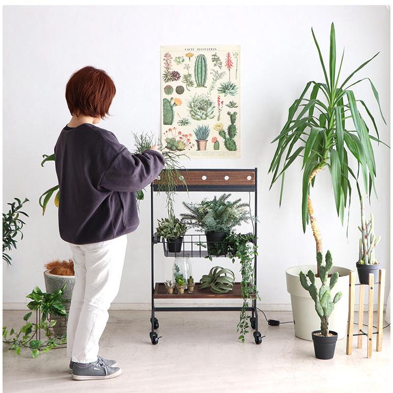 プランターワゴン フラワースタンド ２段 室内 屋内 ラック 観葉植物 Led照明 間接照明 おしゃれ 北欧 モダン シンプル インダストリアル スチール 台 Sr 518 Tm ポタリコpotarico 通販 Yahoo ショッピング