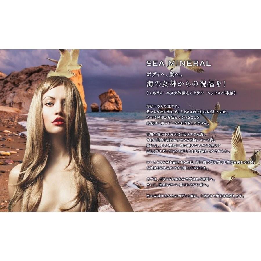 Kracie（クラシエ） シーミネラル ボディソープ 業務用詰替え 2000ml