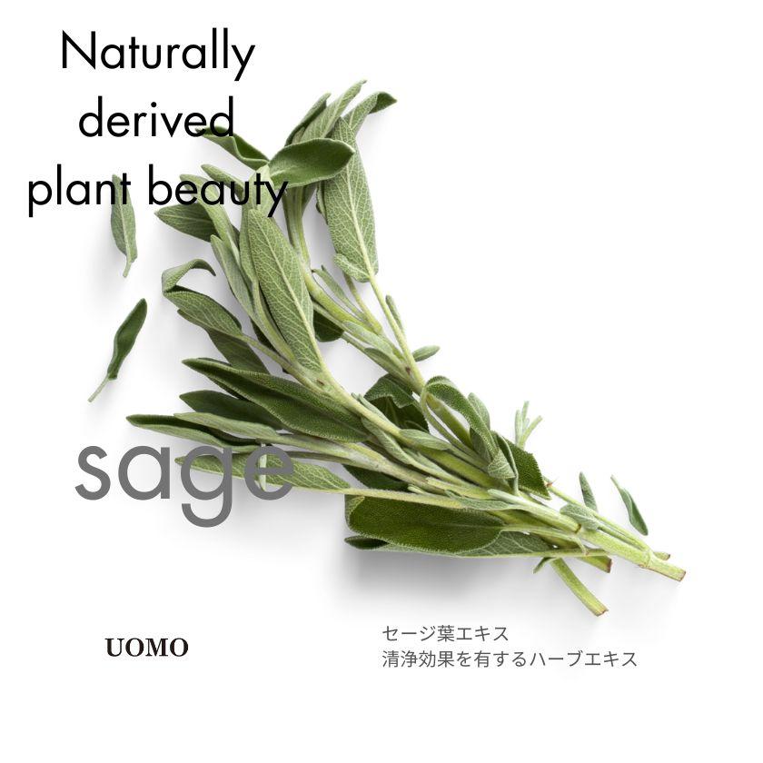 Kracie（クラシエ） ウオモ フェイスウォッシュ 1000ml 業務用詰替え
