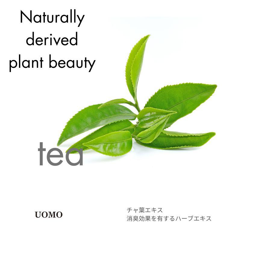 Kracie（クラシエ） ウオモ フェイスウォッシュ 1000ml 業務用詰替え