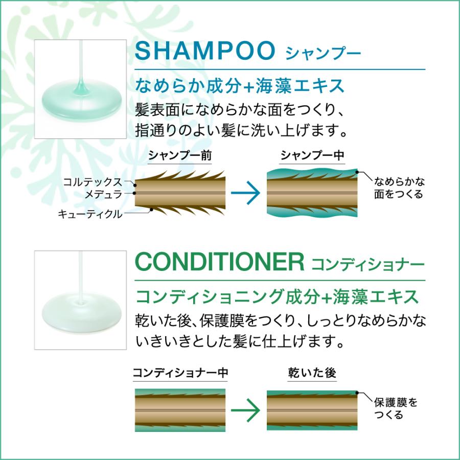 Kao（花王） キュー シャンプー 10L 業務用 専用詰替容器2本付