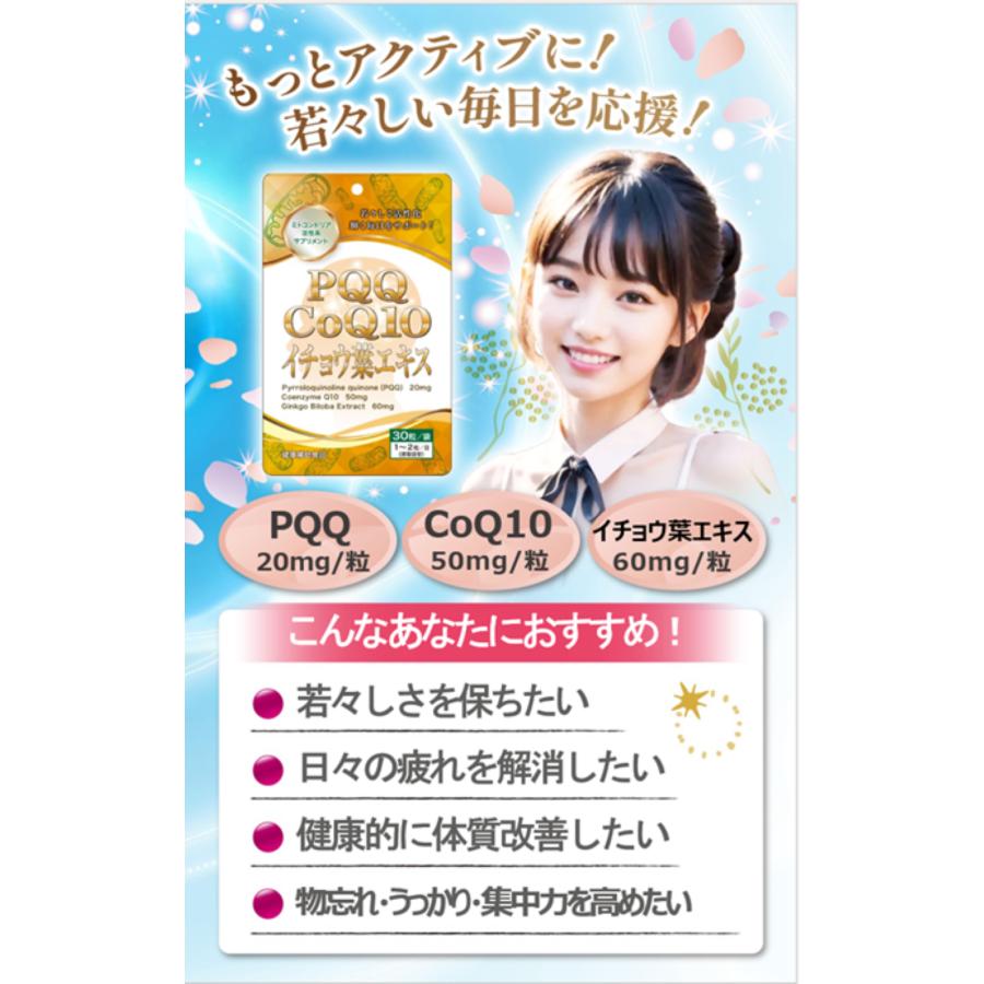 PQQ20mg　CoQ10 50mg イチョウ葉エキス60mg ＜１＞植物性カプセル 脳活 記憶力 物忘れ ミトコンドリア NMN NAD? 虹メディカル |  | 01