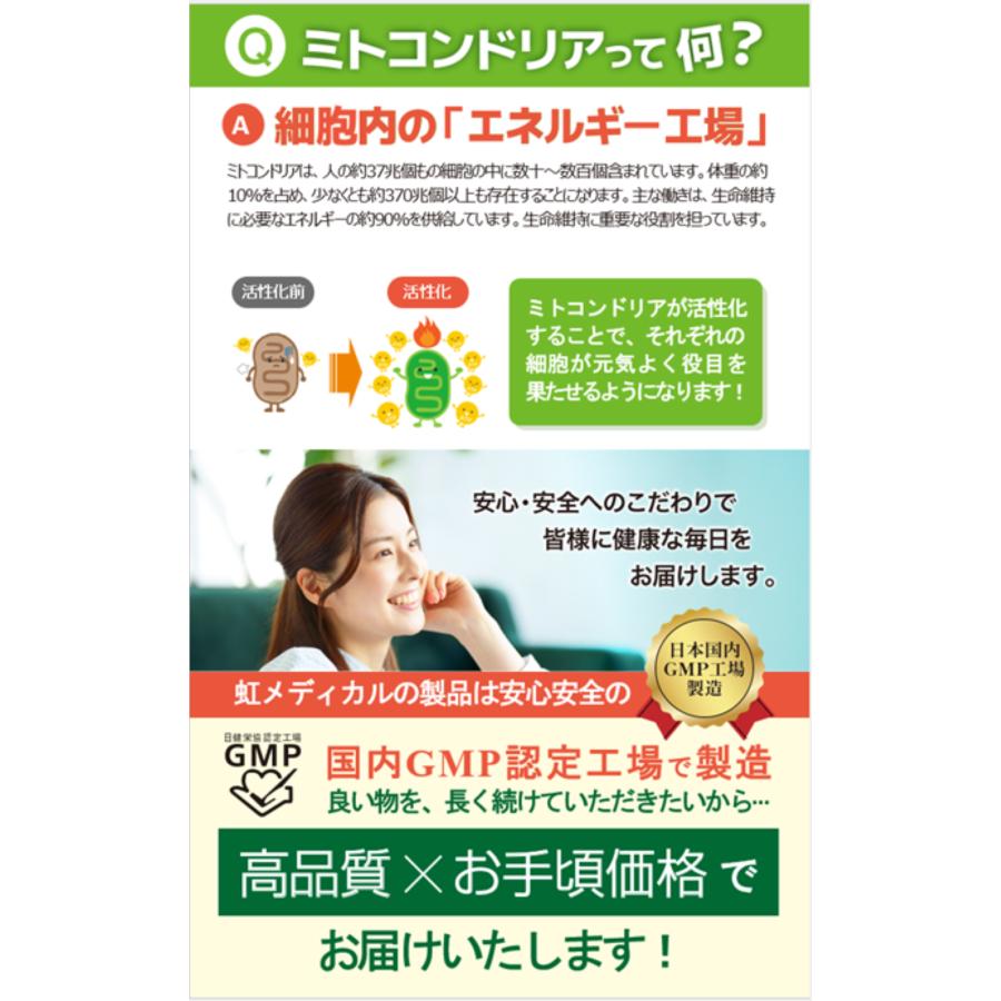 PQQ20mg　CoQ10 50mg イチョウ葉エキス60mg ＜１＞植物性カプセル 脳活 記憶力 物忘れ ミトコンドリア NMN NAD? 虹メディカル |  | 03
