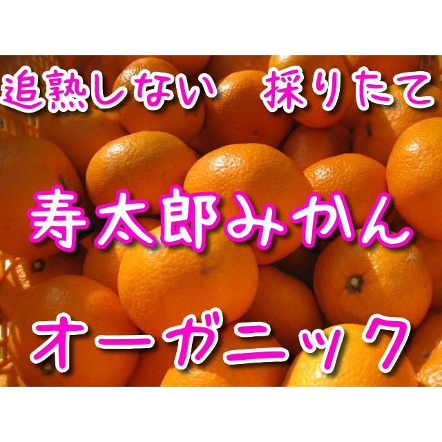 みかん 寿太郎 農薬 肥料 除草剤 全て不使用 朝採り 2kg 1216 ポットハウス 通販 Yahoo ショッピング