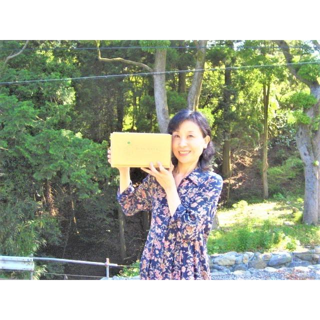 【母の日ギフト】【メッセージカード付き】朝採りニューサマーオレンジ２kg贈り物箱　農薬・肥料・除草剤不使用 |  | 10