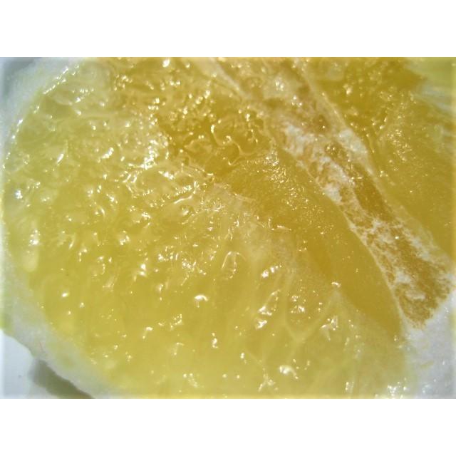 【母の日ギフト】【メッセージカード付き】朝採りニューサマーオレンジ２kg贈り物箱　農薬・肥料・除草剤不使用 |  | 18