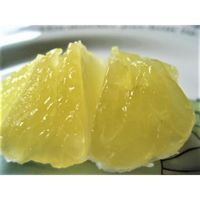 【母の日ギフト】【メッセージカード付き】朝採りニューサマーオレンジ２kg贈り物箱　農薬・肥料・除草剤不使用 |  | 20