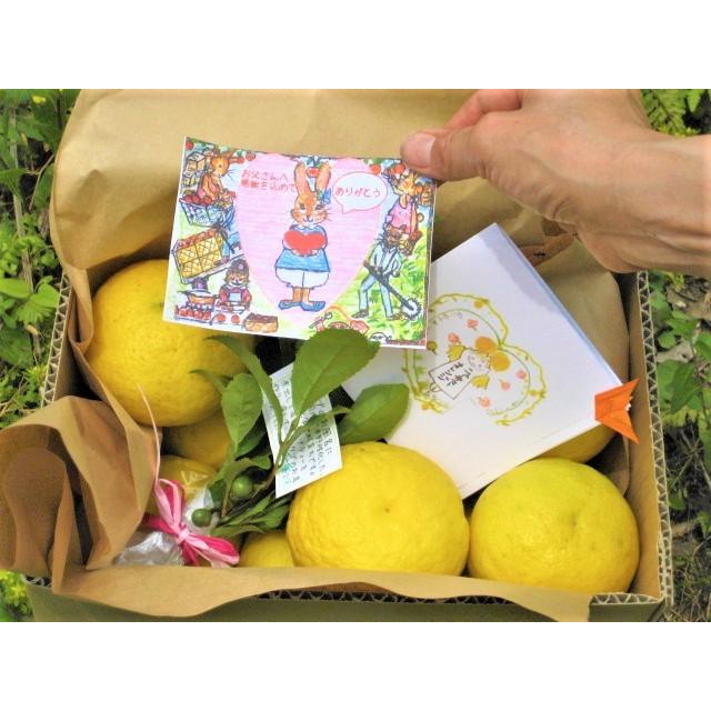 【母の日ギフト】【メッセージカード付き】朝採りニューサマーオレンジ２kg贈り物箱　農薬・肥料・除草剤不使用 |  | 06