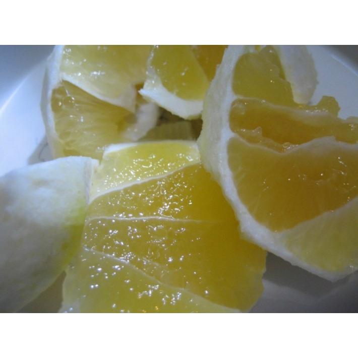 外皮は刻んでサラダに　アイスクリームに☆朝採り　ニューサマーオレンジ　×2キロ　【農薬・肥料・除草剤不使用】 |  | 18
