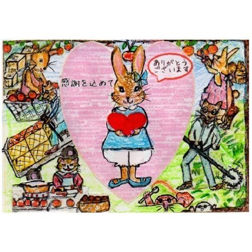 【母の日ギフト】【メッセージカード付き】伊豆の朝採り『甘夏みかん』5kgギフトボックス【 農薬・肥料・除草剤不使用】グリーティングカード添付 |  | 13