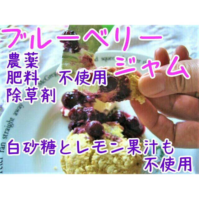 ジャム ブルーベリー 0ml 農薬 肥料 除草剤 不使用 無添加 手作り 白砂糖不使用