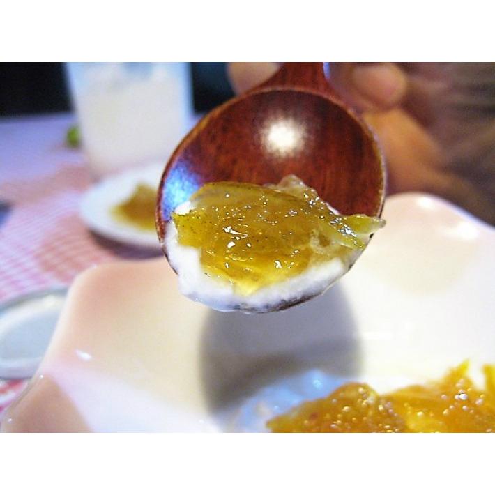 ジャム 甘夏 無農薬 有機肥料 除草剤不使用 無添加 手作り 0ml オーガニック育ち J 01 ポットハウス 通販 Yahoo ショッピング