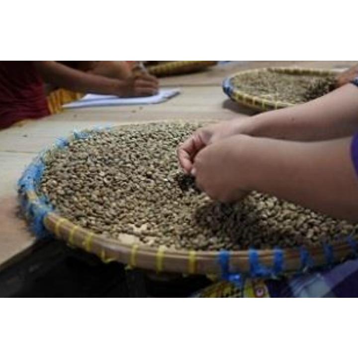 五つ星マンデリンG1 500g インドネシア 焙煎豆 自家焙煎