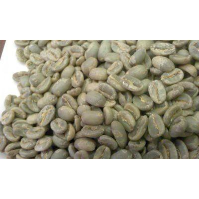 パナマ エスメラルダ農園 ゲイシャ 500g : POTIER COFFEE - 通販