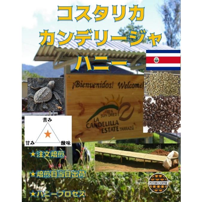 コスタリカ　ラカンデリージャ　ハニー　１５０ｇ　ハニープロセス　パルプドナチュラル　中米　鮮度　煎り立て　お取り寄せ　中煎り　コーヒー　コーヒー豆 | 