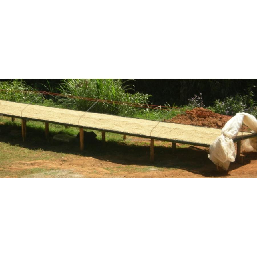 コスタリカ　ラカンデリージャ　ハニー　１５０ｇ　ハニープロセス　パルプドナチュラル　中米　鮮度　煎り立て　お取り寄せ　中煎り　コーヒー　コーヒー豆 |  | 03