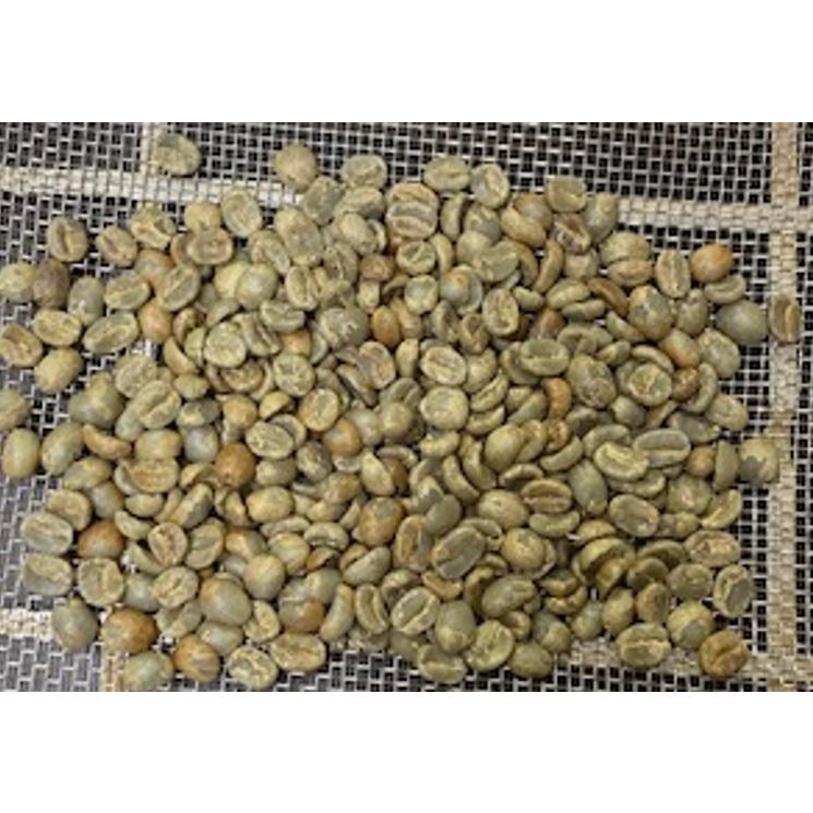 コスタリカ　ラカンデリージャ　ハニー　１５０ｇ　ハニープロセス　パルプドナチュラル　中米　鮮度　煎り立て　お取り寄せ　中煎り　コーヒー　コーヒー豆 |  | 05