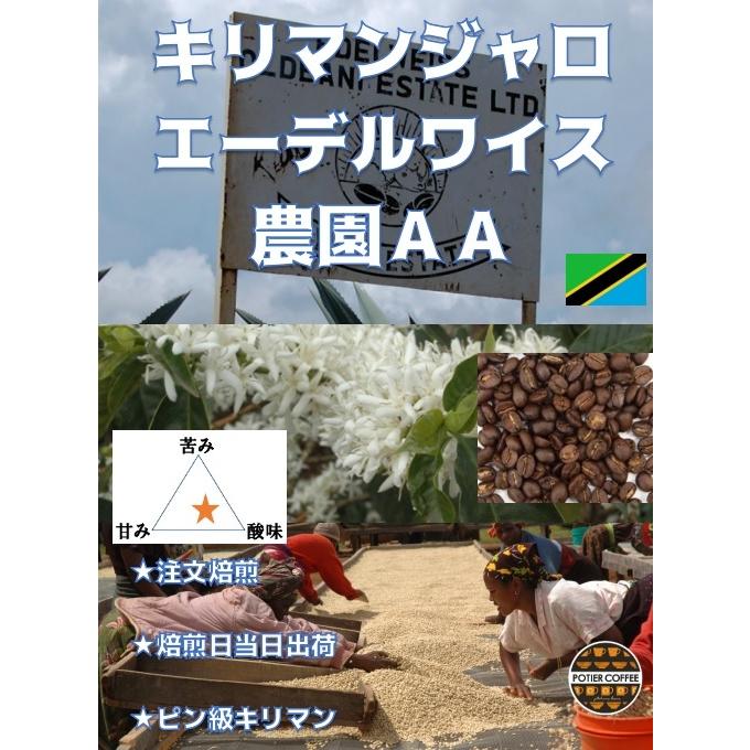 キリマンジャロ　エーデルワイス農園ＡＡ　３００ｇ　タンザニア　焙煎豆　自家焙煎　アフリカ　コーヒー　コーヒー豆　ストレート　自家焙煎｜potiercoffee