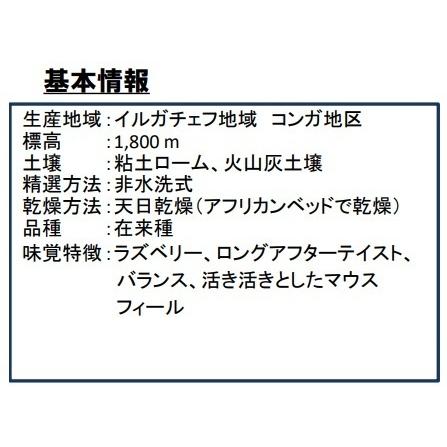 エチオピア　イルガチェフＧ１ナチュラル　３００ｇ　エチオピア　焙煎豆　自家焙煎　イルガチェフェ　イルガチェフィ　コーヒー豆　ストレート　自家焙煎｜potiercoffee｜02