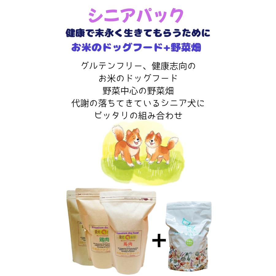 国産 無添加 ドックフード シニアパック C-2【 お米のドッグフード 】 鶏肉 800ｇ 2個  ドッグフード工房 野菜畑 700g 2個 セット_1