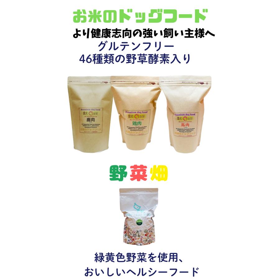 国産 無添加 ドックフード シニアパック C-2【 お米のドッグフード 】 鶏肉 800ｇ 2個  ドッグフード工房 野菜畑 700g 2個 セット_2