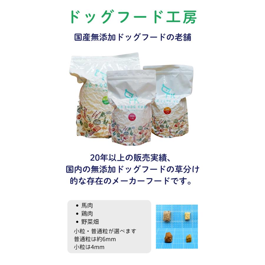 国産 無添加 ドックフード シニアパック C-2【 お米のドッグフード 】 鶏肉 800ｇ 2個  ドッグフード工房 野菜畑 700g 2個 セット_9