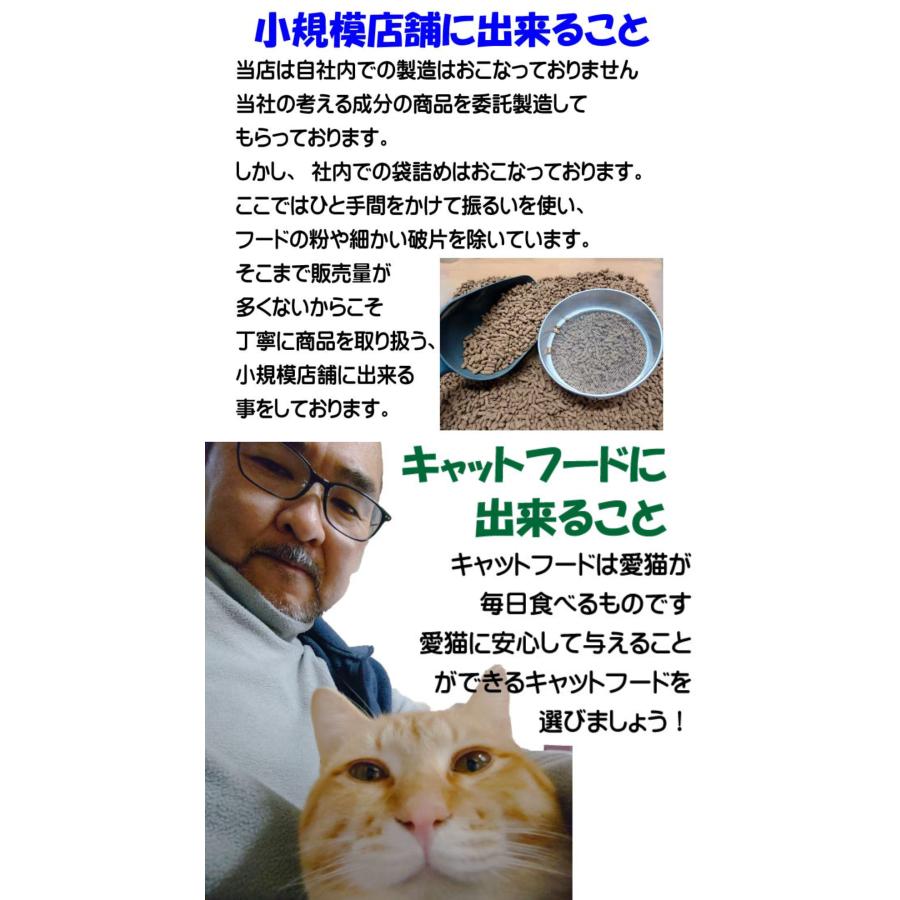 毎日美食 キャットフード ドライ 無添加 国産 グルテンフリー 合計2kg