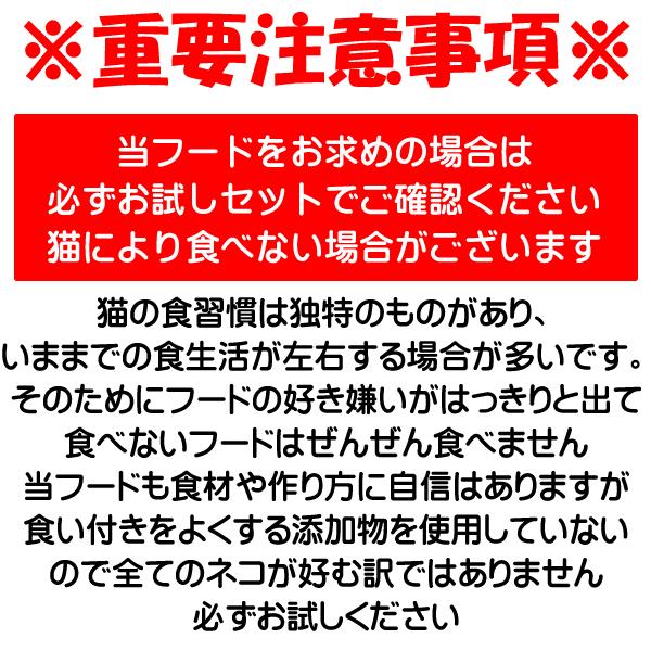 国産 無添加 健康 キャットフード ねこのまんま お試し セット 80g 40gx2個 高たんぱく 低脂肪 グルテンフリー ドライフード 全年齢対応｜potitamaya-y｜14