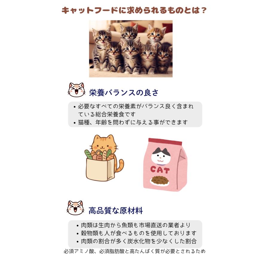猫 キャットフード 無添加国産 グルテンフリー ドライフード カリカリ
