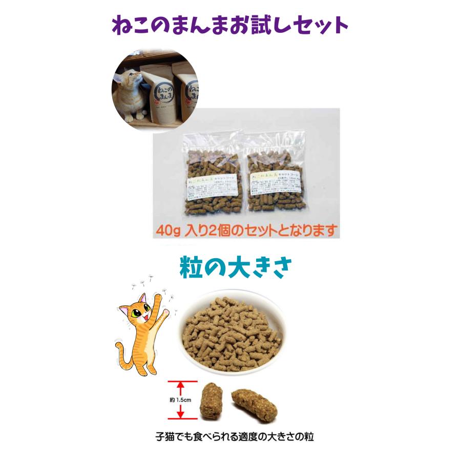 猫 キャットフード 無添加国産 グルテンフリー ドライフード カリカリ