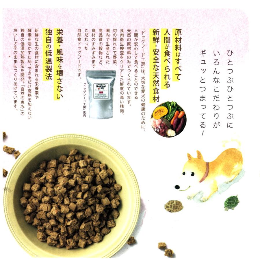 国産 無添加 自然食 健康 こだわり食材 ドッグフード工房 馬肉ベース