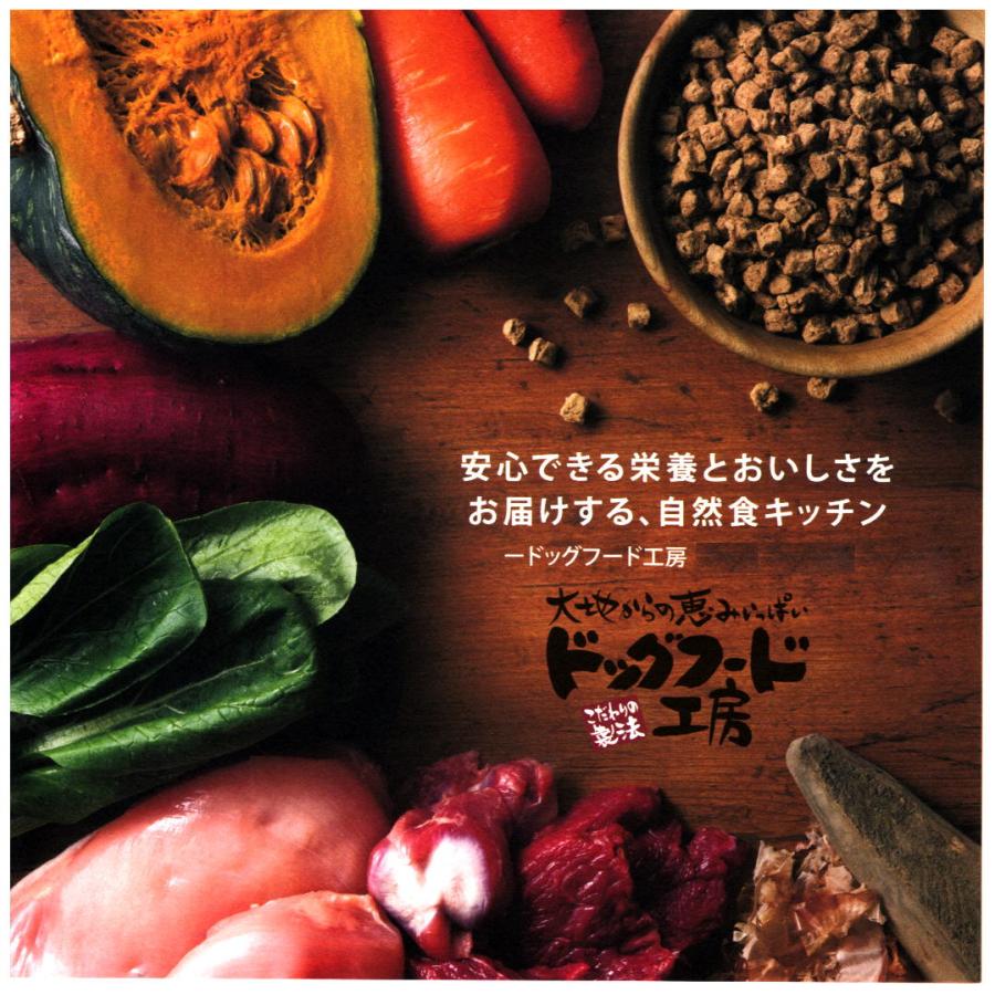ドッグフード工房 馬肉 鶏肉 野菜畑 700g 【公式通販】