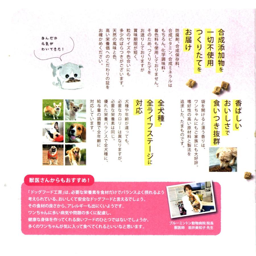 ドッグフード工房 犬 ドッグフード 無添加 国産 小型犬 シニア犬用ドライフード 馬肉 鶏肉 野菜畑 自由に選べる700ｇ 6個パック_11