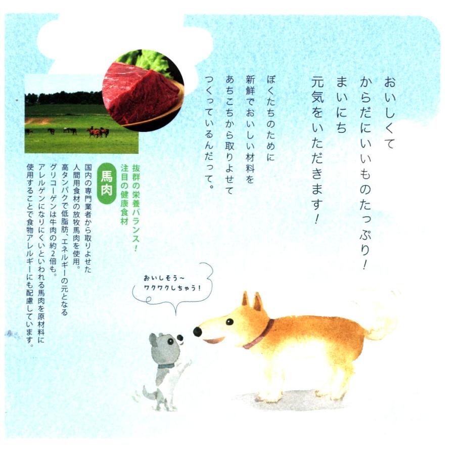 ドッグフード工房 犬 ドッグフード 無添加 国産 小型犬 シニア犬用ドライフード 馬肉 鶏肉 野菜畑 自由に選べる700ｇ 6個パック_12