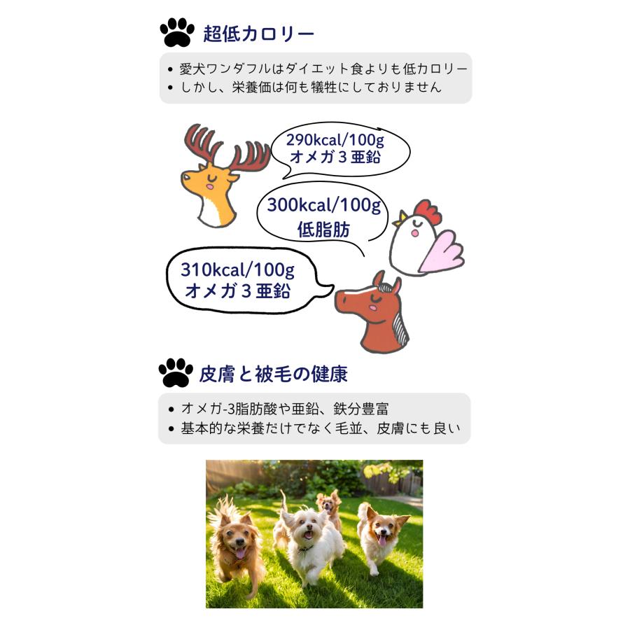 犬 ドッグフード 無添加 国産 鹿 鶏 馬 小型犬 シニア犬用ドライフード 愛犬ワンダフル 鹿馬ハーフ＆ハーフ 小粒 普通粒 800g 5個_10